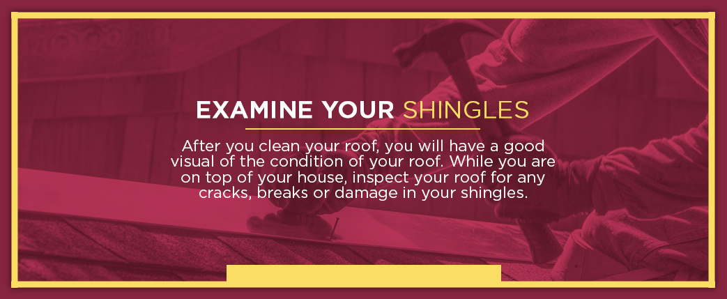 examine your roof shingles