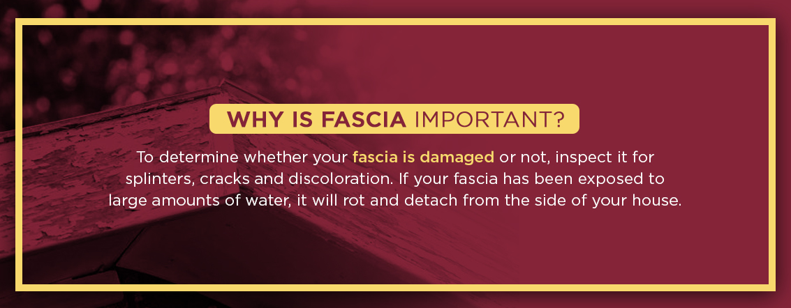 Why Is Fascia Important?